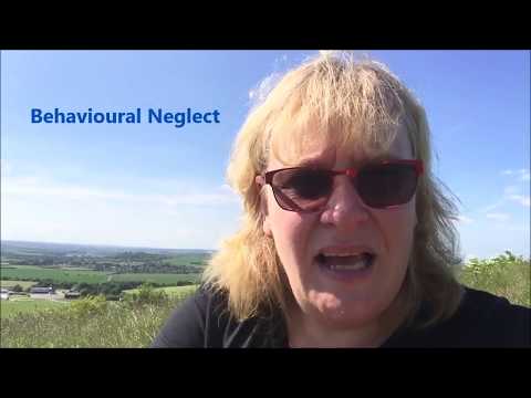ANS at Work - using knowledge of Polyvagal Theory in practice