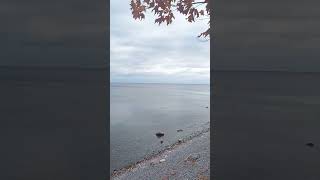 Lake Ontario Ajax