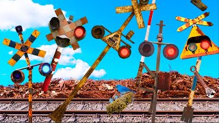 The Railroad Crossing That Was Abandoned for Years and Turned into a Tree 😂😂😂