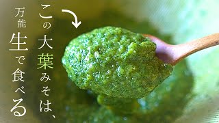 【大葉味噌】もうひとつの『大葉味噌の作り方』万能常備菜〜大葉大量消費レシピ