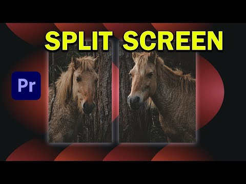 How To Add SPLIT SCREENS In Premiere Pro
