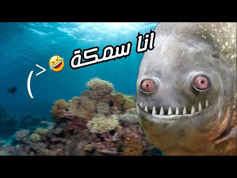 جربت نكون سمكة 😂😂