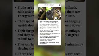 Amazing Sloth Facts You Should Know | #fact #facts #shorts