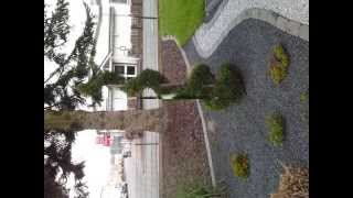 Steingärten Forst & Garten Twers 32839 Steinheim Baumfäller Baumfälung Garten