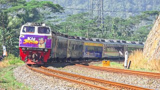 KERETA API PANJANG‼️ MENEMUKAN 26 KERETA API MELINTASI PERLINTASAN DAN STASIUN