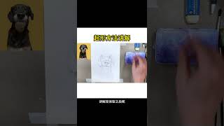 动物全体系VIP课 新课有优惠活动。报名有一对一作业辅导，零基础可以学。#水彩 #动物胖子