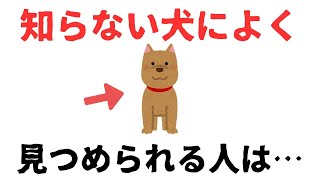【雑学】動物が寄ってくる人のスピリチュアルな雑学