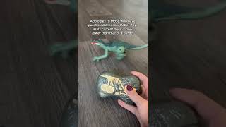 Cool Wireless Dino Robot Toy for Kids!
