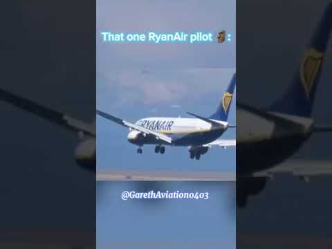pilots during crosswind landings 🤯