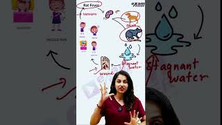 ഈ Question പഠിച്ചാൽ 2  Mark ഉറപ്പ്#sslc #sslcexam #examwinnersslc