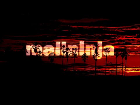 mallninja - flowers don't last