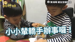 小小輦轎手辦事啦！神明的囝仔手轎辦事有模有樣超級萌！沒有廟會日子 宅家玩什麼～｜寶島神很大Online