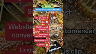 6 GRATIS AI tools om je content op social media te boosten! 🚀🤖