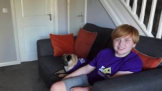 Finlay and Milo (the talking dog) talk about DLD