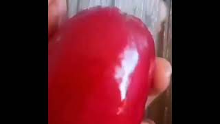 @RoseApple...😋 #trending#shorts#known#newfruit#hit ❤️