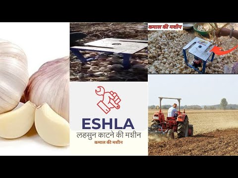 लहसुन काटने की मशीन। #automotivetools #diy #machine #engineering #tools #technology #agriculture