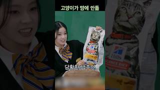 [엔믹스] 닮은 고양이가 마음에 안드는 규진ㅋㅋㅋ
