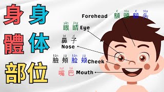 【Parts of My Body 我的身體身体部位】Body parts Vocabulary 身体部位词汇詞彙#chinesevocab  #chineselanguage #bilingual