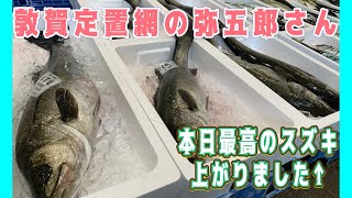 "Yagoro, the Tsuruga fixed net fisherman, worked hard again today!" #Cheap #Fish shop #Aiki fish ...