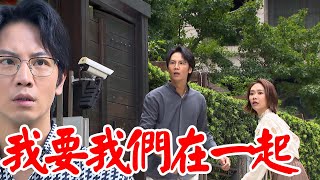 願望│EP254 顧成愛倫偷約會遭抓包 世賢將滅口前女婿 勝強得知聯合耀武拯救 愛倫見受傷心疼 Desires│ Vidol.tv