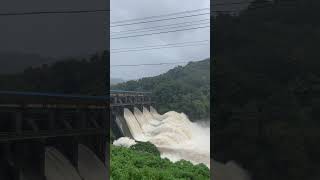 Idukki Dam in Monsoon Season #viral #shortsviral #kerala #keralanews