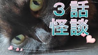 3話の実話怪談🌈前回の続き🌈４話・私の家の霊道🌈５話・霊視🌈６話・猫好き幽霊　＃実話怪談＃スピリちゅるーん＃霊道＃霊視＃猫動画＃ASMR