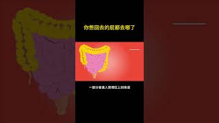 你憋回去的屁都去哪了? #人體 #健康 #科普 #shorts