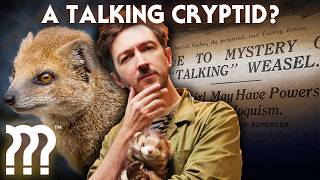 The Most Paranormal Animal Encounter of All Time • Mystery Files