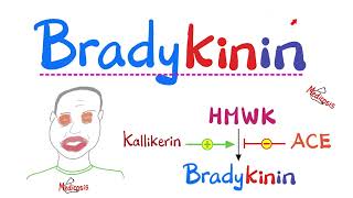 Bradykinin Pharmacology and ACE inhibitors -  Immunology - Pathology
