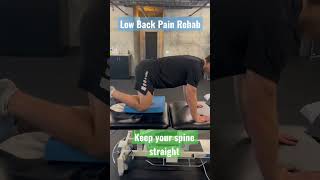 Low Bach pain rehab: isometric ql #shorts