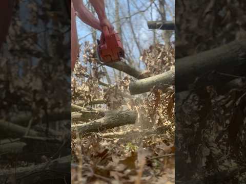 How to Prevent a Chainsaw from Getting Pinched