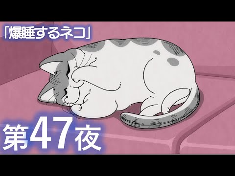 アニメ『夜は猫といっしょ』第47夜「爆睡するネコ」