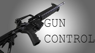 Solution to the Gun Control Crisis