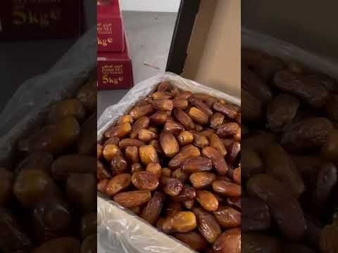 #KingKurmaTunis #KurmaTunisMadu5kg #KurmaTunisKing #KurmaMaduTunis #KurmaTunisPremium
