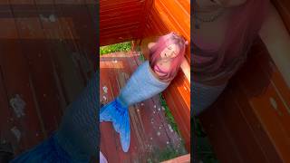 They caught the mermaid at a bad time...🤭🧜🏻‍♀️🐚