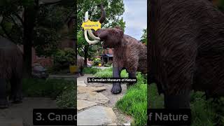 5 Top Places To Visit in Ottawa Canada #shortsviral #ottawa #canadatravel