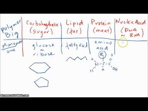 macromolecules overview