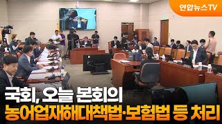 국회, 오늘 본회의…농어업재해대책법·보험법 등 처리 / 연합뉴스TV (YonhapnewsTV)