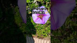 ザ・シークレット❣️　　日々の教え✨ロンダ・バーン【朗読】