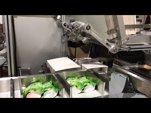 Automatic Cartoning Machine for Oversized Boxes – With Hot Melt Glue Sealing System