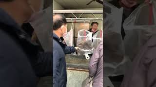 汶水老街名產-豬膽肝