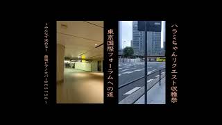 東京国際フォーラムへの道