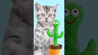 cactus VS beatbox /#beatbox  /cat beat box/ funny pets / funny cat animation/고양이 비트박스 /웃긴 고양이 애니메이션