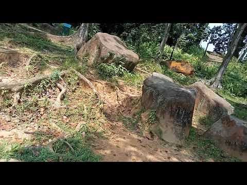 BUKIT BATOK RESERVOIR PARK SINGAPORE 2022|BUKIT GUMBAK RESERVOIR PARK SINGAPORE 2022