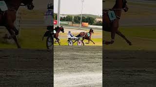 A visit to the Marsa Horse Racing Track provides you with a typically Maltese experience #qormi