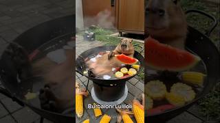 brainrot in real life. animal version of brainrot #brainrot  #memes #lirililarila