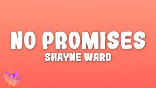 Shayne Ward - No Promises