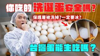 紅心蛋比較好？冷藏蛋價差3倍貴在哪？洗選蛋工廠直擊，破解雞蛋迷思！