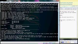 Nikto - Multiple Port Vulnerability Testing