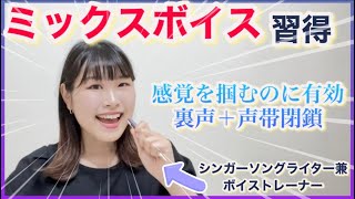 【高音強化】ミックスボイスの簡単な出し方！声帯閉鎖が鍵！（練習法あり＊ミドルボイス＊ボイストレーナー＊歌ってみた）